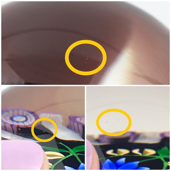 Perthshire 1991A Bouquet on Black Lampwork Millefiori Latticinio Paperweight COA - Picture 12 of 15